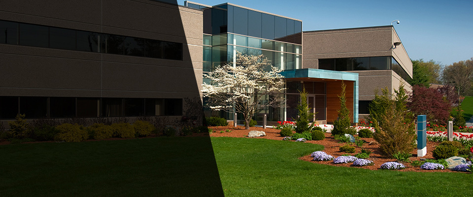 West Hollywood Landscapers