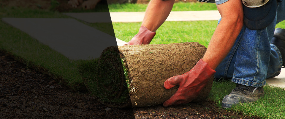 West Hollywood Landscapers